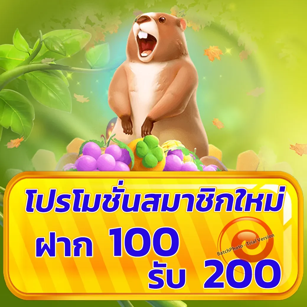 สล็อตz1688 เว็บตรง